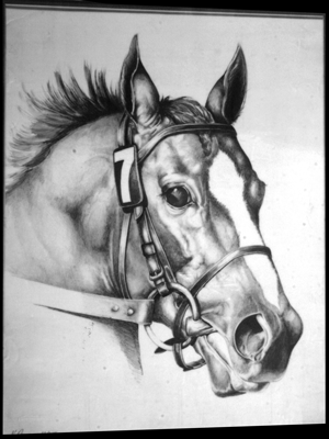 Horsehead art by Karen Bennett
